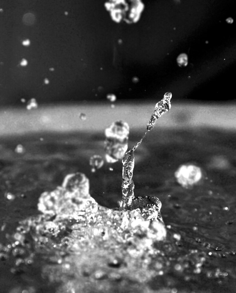 Droplet ripple blackandwhite