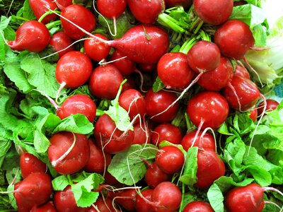 Vegetable salad