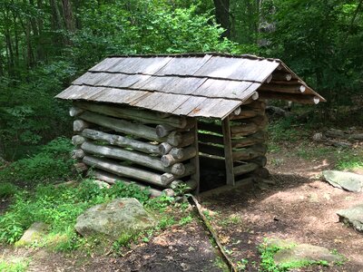 Rustic outdoors forest