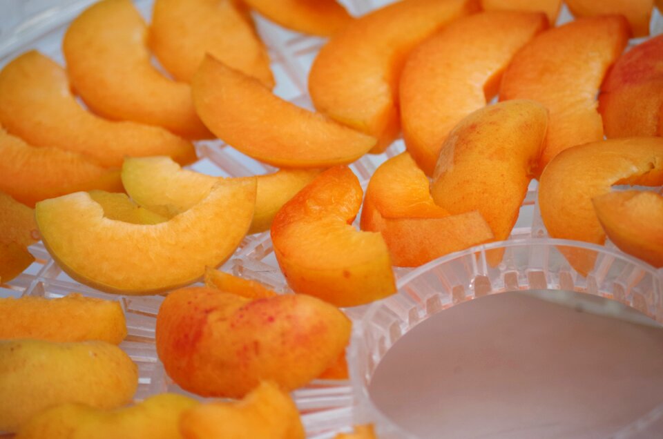 Orange sliced drying