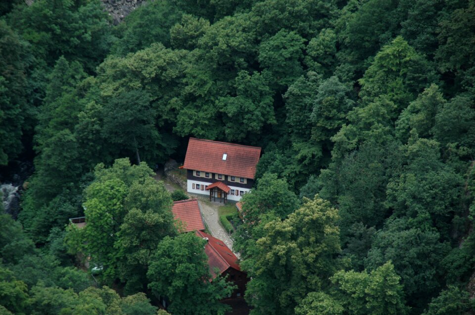 Homestead forest valley