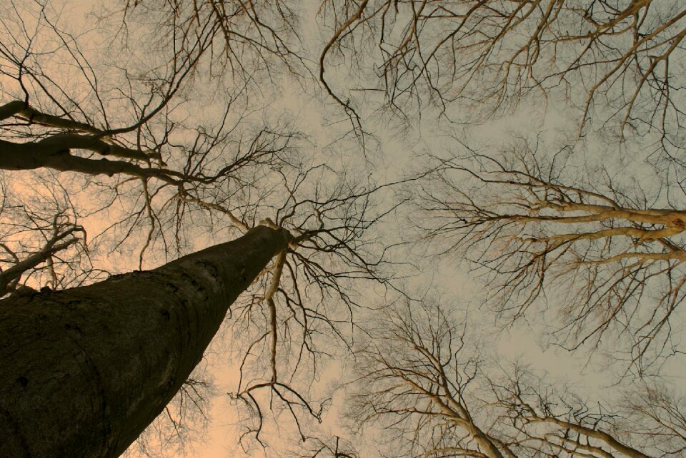 Landscape kahl sky