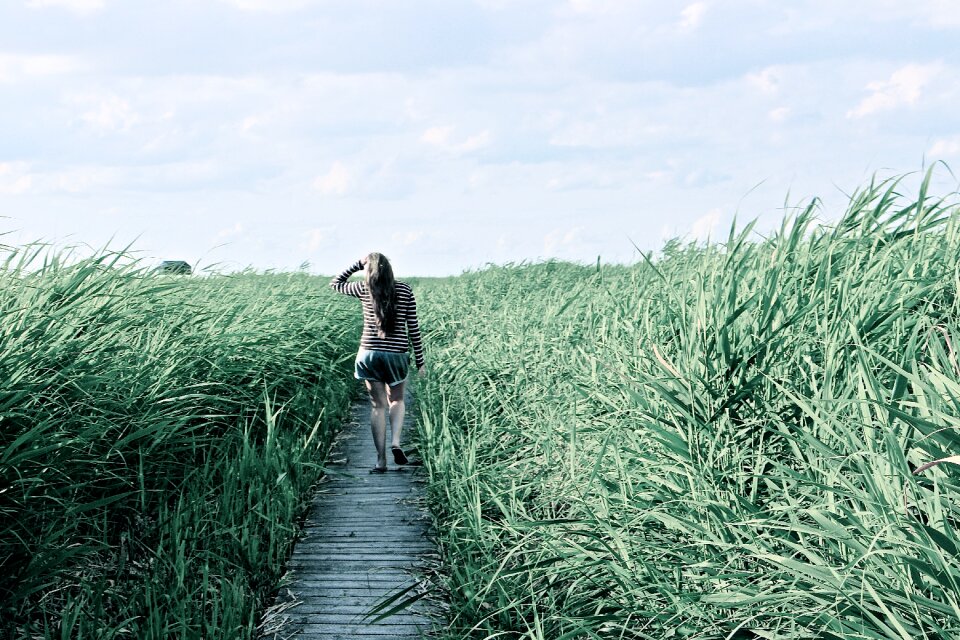 Enjoy grasses nature
