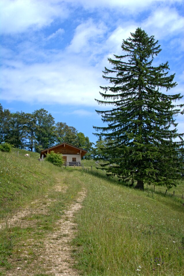 Upper bavaria chiemgau alm photo