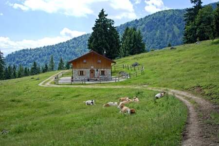 Upper bavaria chiemgau mountains photo