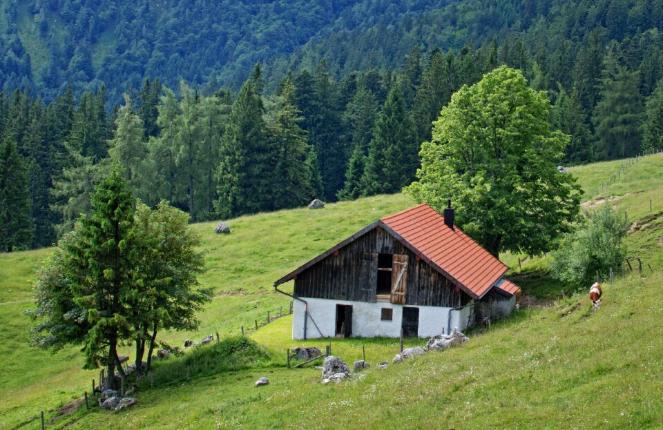 Upper bavaria chiemgau alm photo