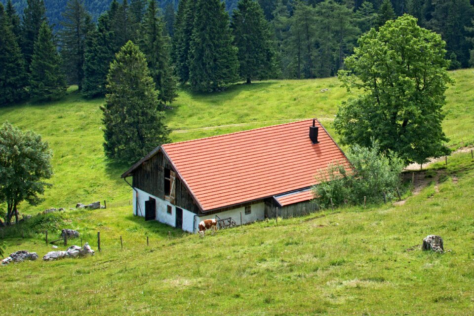 Upper bavaria chiemgau alm photo