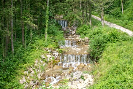 Water bach creek