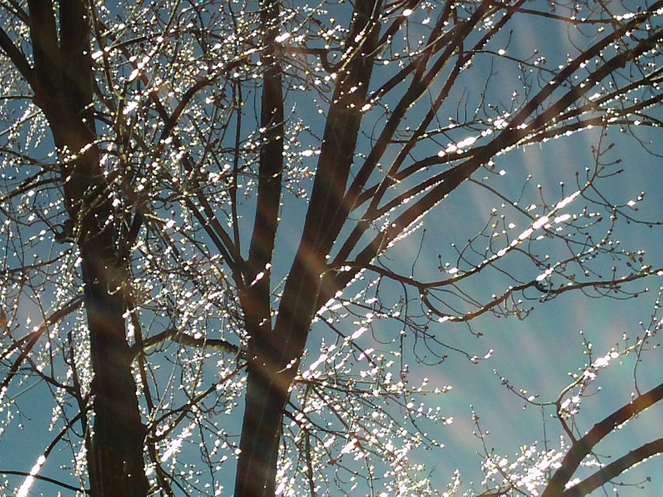 Sparkling sunlight season