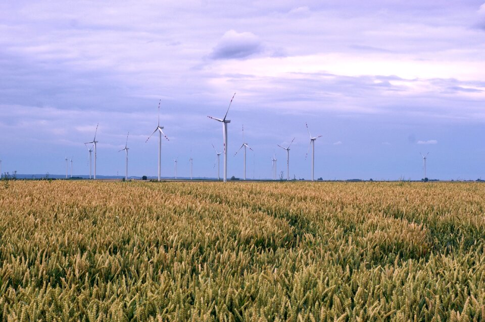 Agriculture horizontal ecology