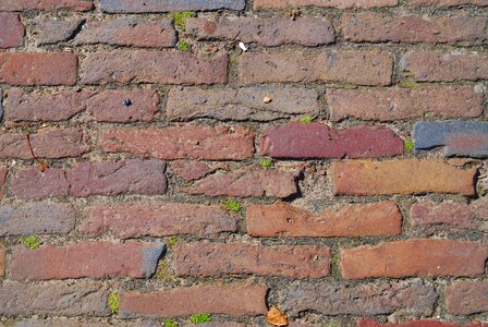 Structure bricks brick wall