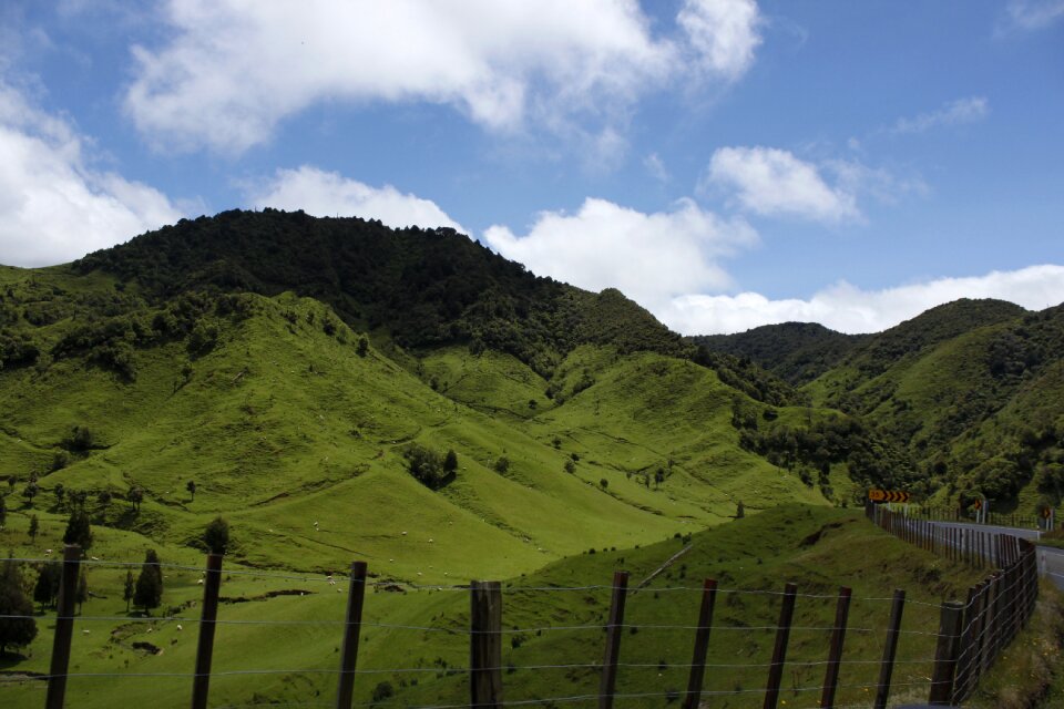 Hills meadows prato