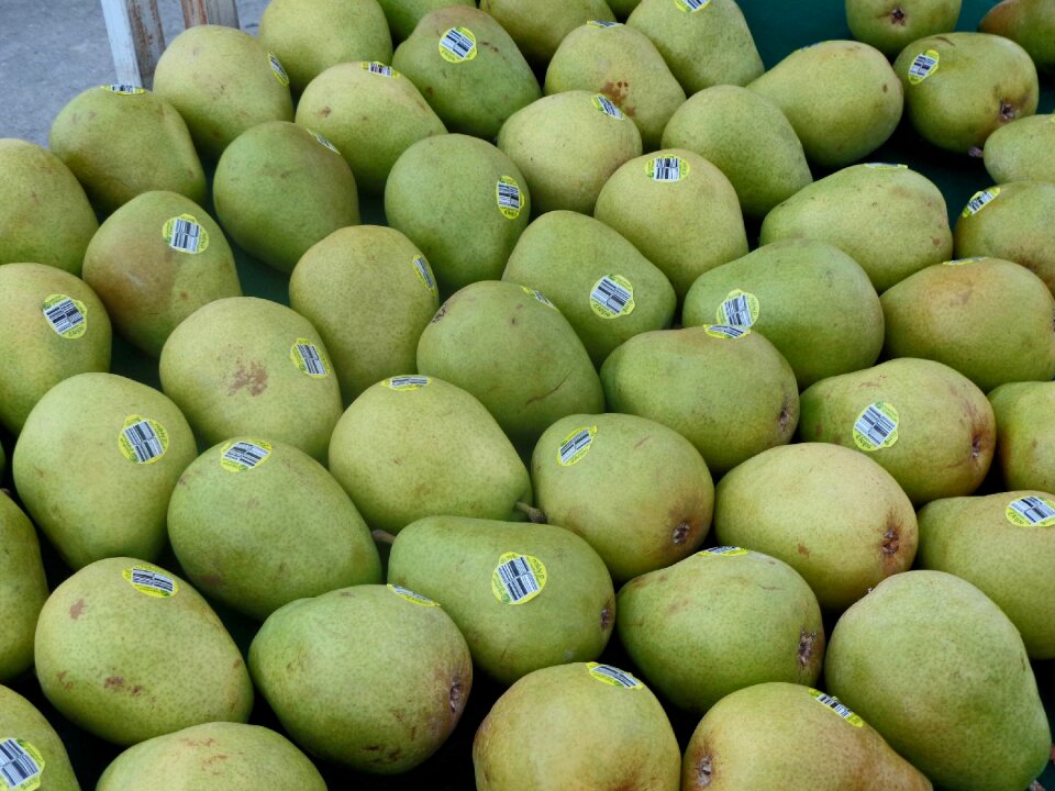 Fresh fruit green