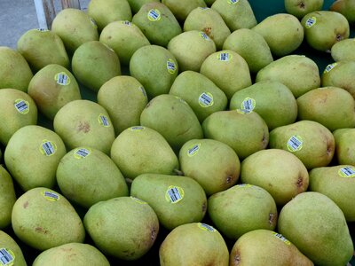 Fresh fruit green
