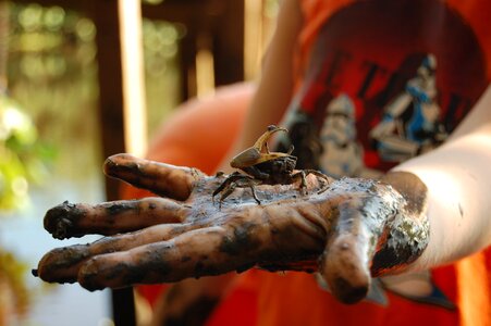 Mangue hand a claw