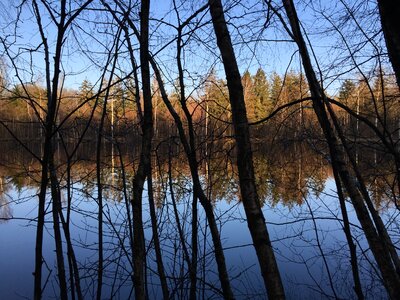 Mirror mirroring wood
