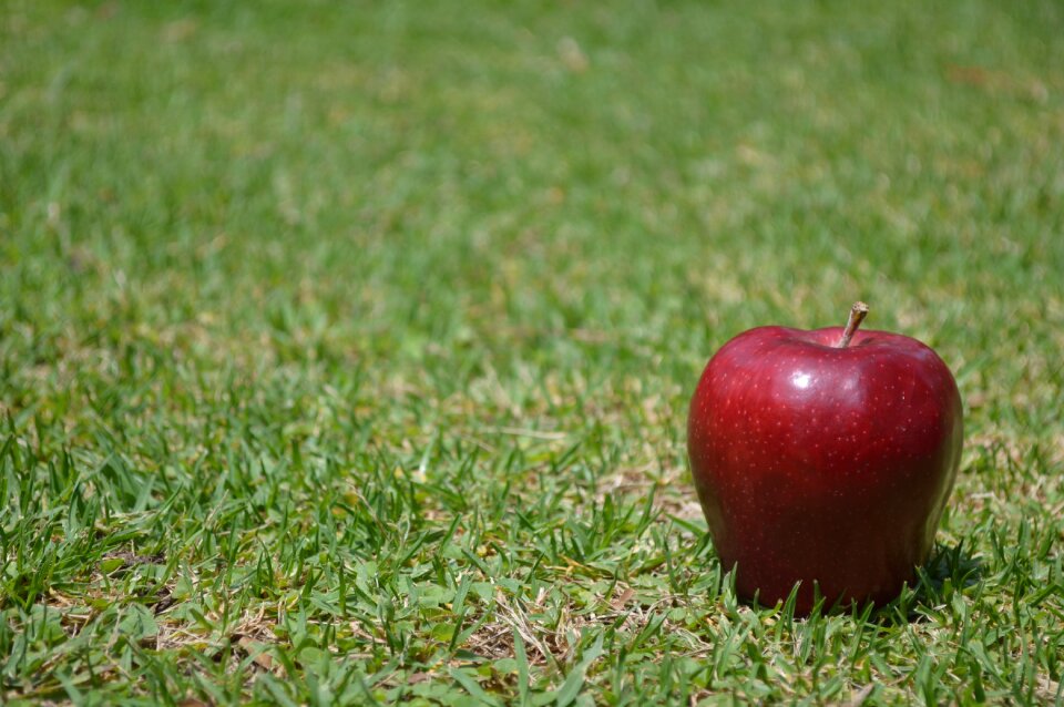 Nature red apple red