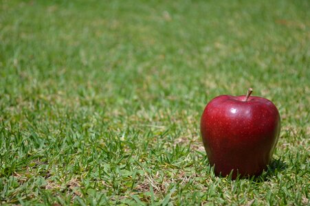 Nature red apple red