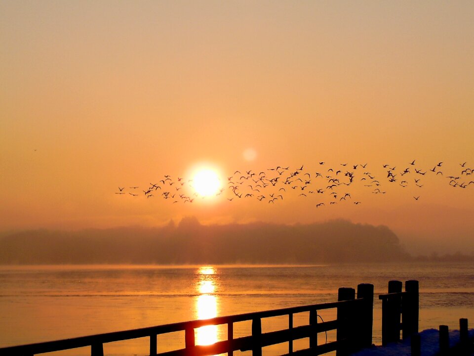 Morgenrot nature mood