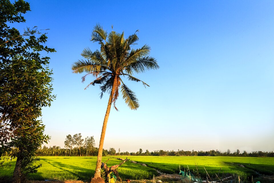 Vietnam asia photo