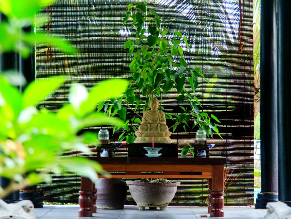Lotus home page