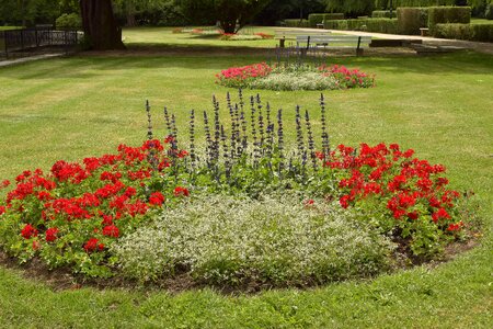 Flowers walk green area