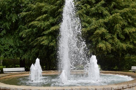 Water feature flowers walk