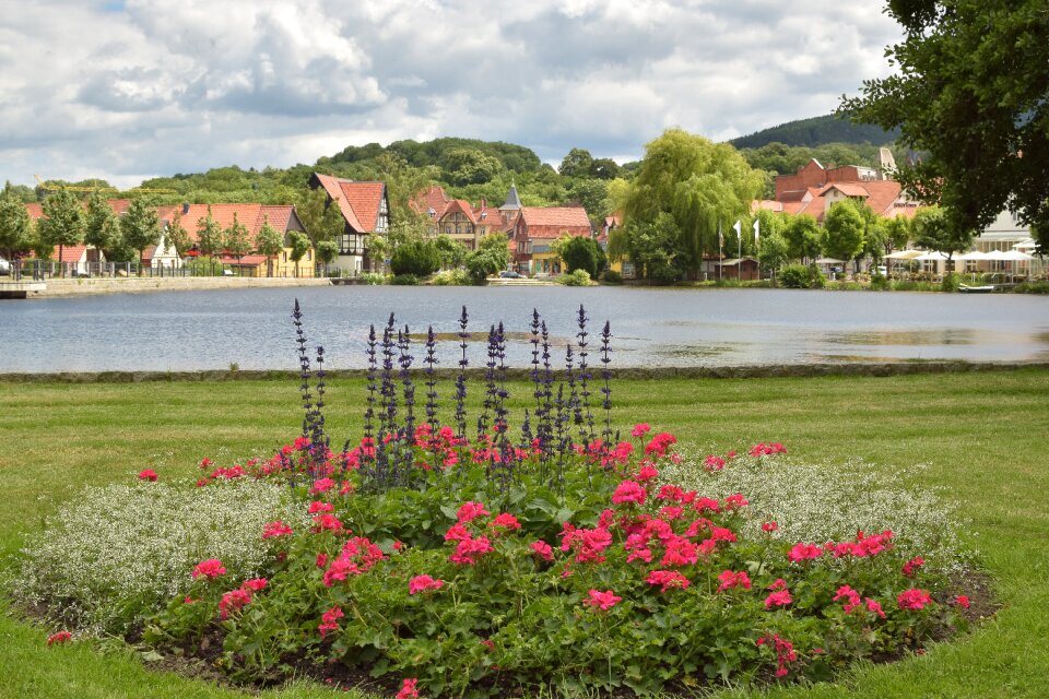 Flowers walk green area