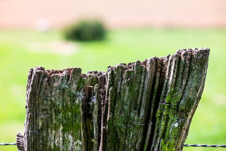 Meadow pile fence post photo