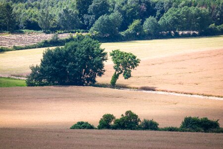 Fields away shadow play photo