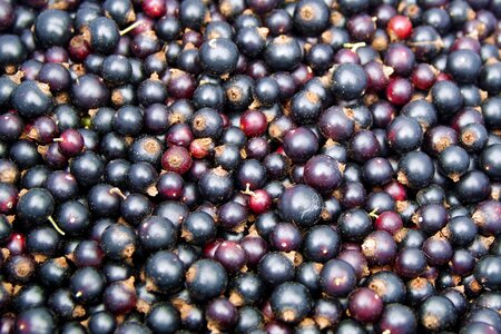 Fruit vitamins jam