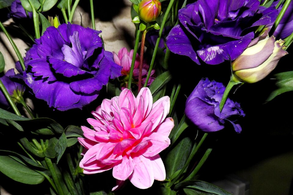 Bouquet flowers blue