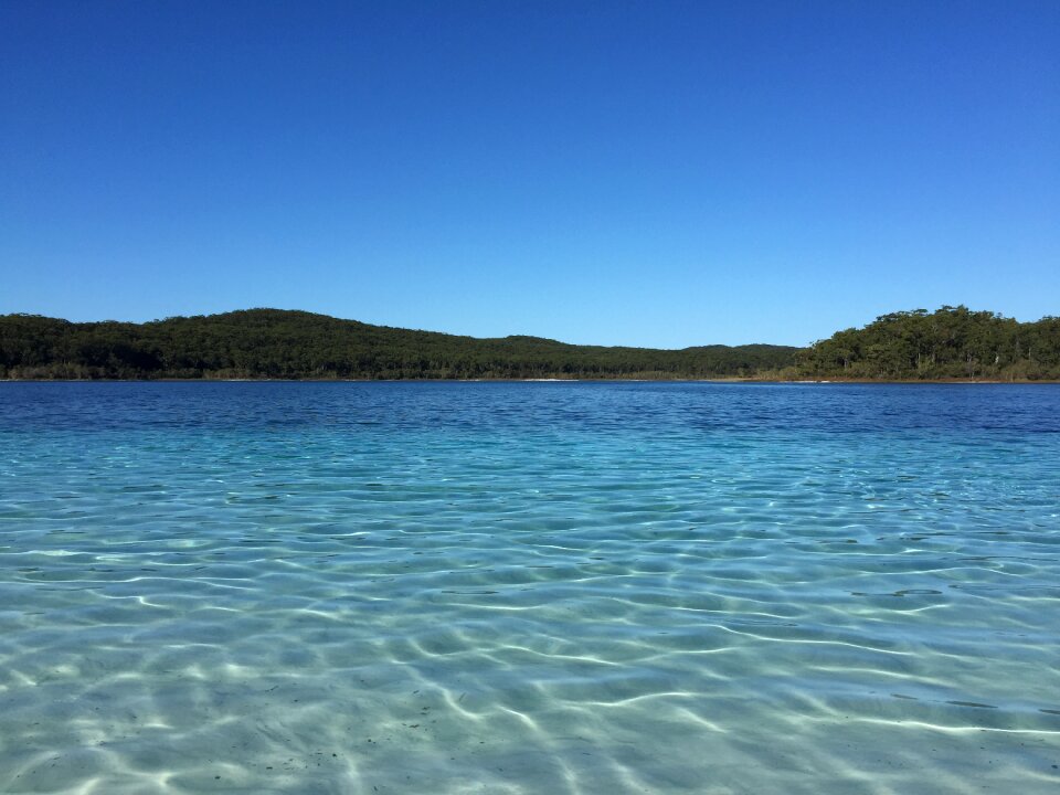 Stell lake landscape