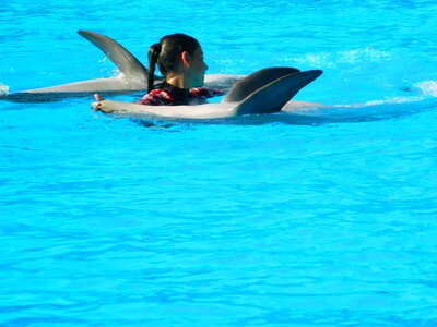 Marine mammal zoo dolphinarium