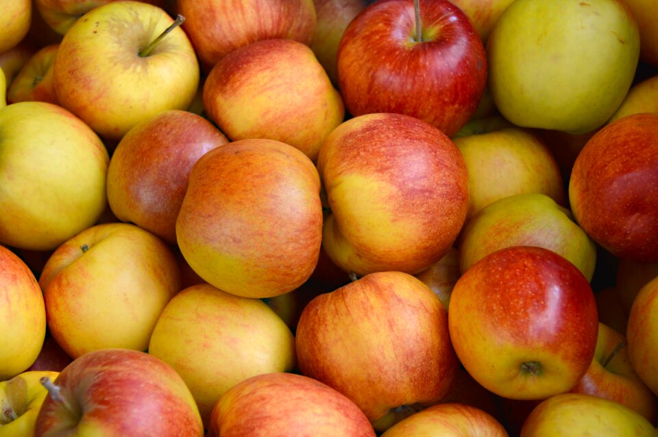 Delicious pome fruit healthy