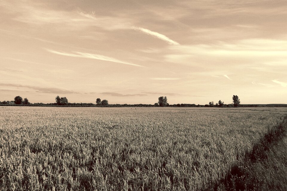 Evening lighting black and white sepia