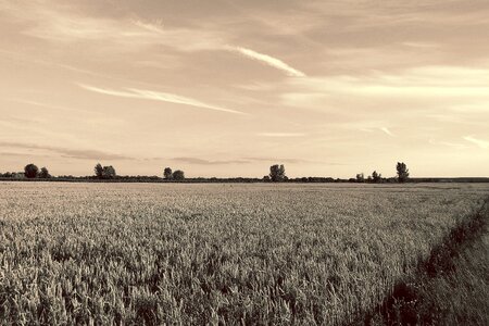 Evening lighting black and white sepia