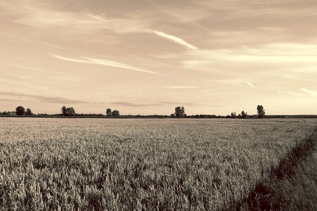 Evening lighting black and white sepia photo