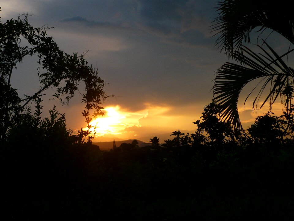 Sunset the sunset silhouette