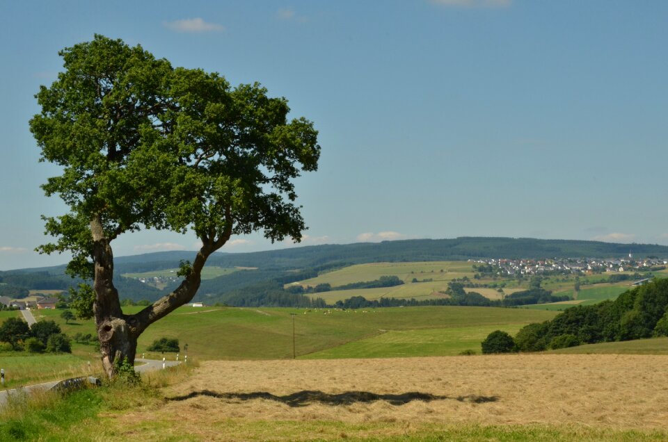 Nature erratic agriculture