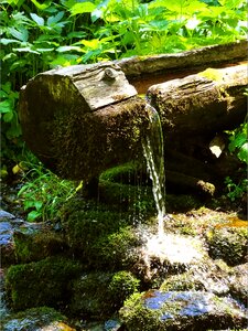 Fountain water wood