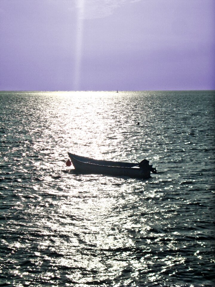 Sea beach nature