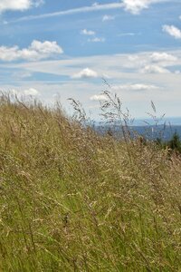 Braunlage worm mountain sky