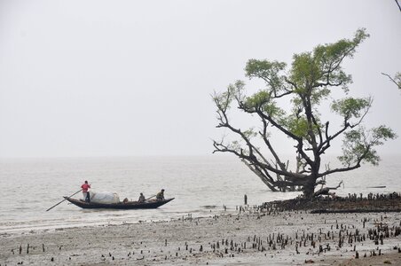 Tourism nature bangladesh