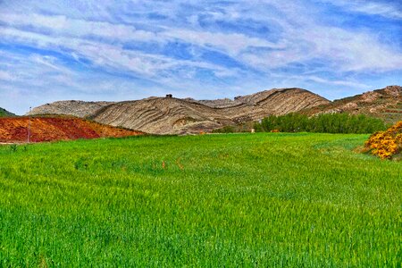 Agriculture nature landscape farm field