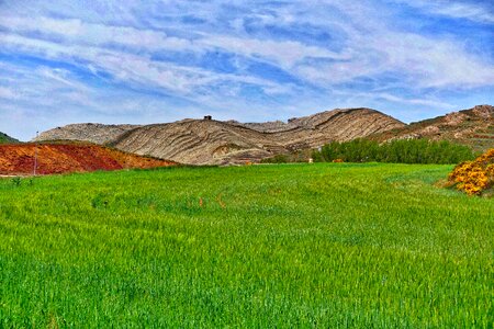 Agriculture nature landscape farm field photo