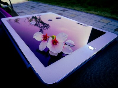 Spring pink ipad