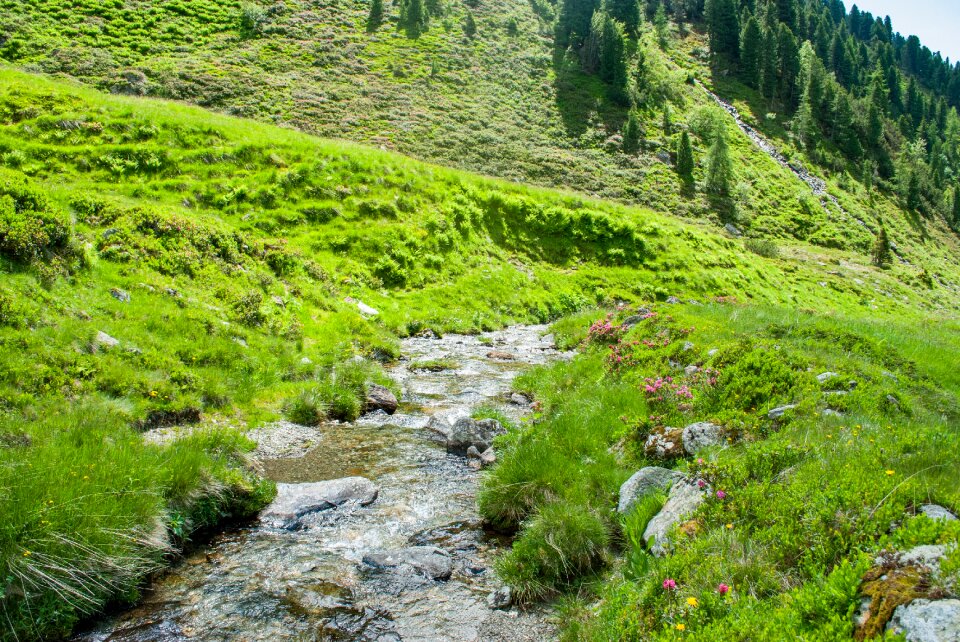 Nature landscape alpine