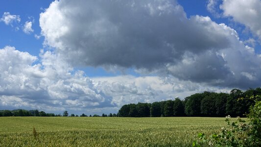 Clouds landscape cornfield photo