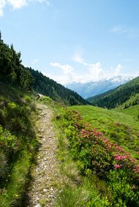 Landscape alpine mountain hiking photo